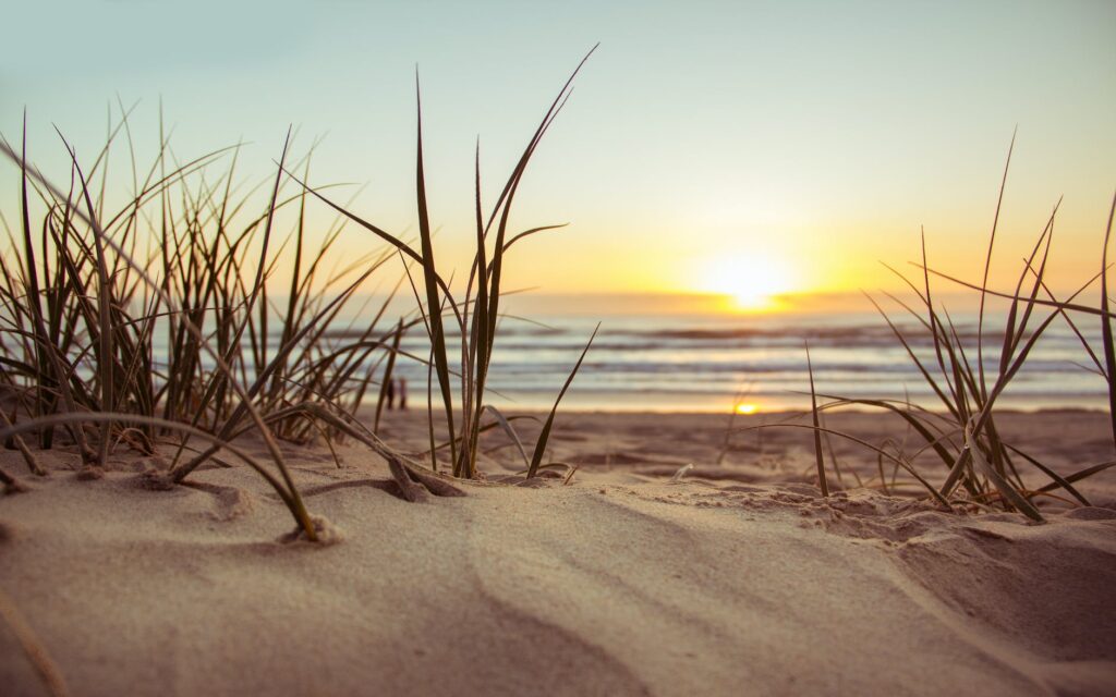 green grass during sunset on the beach airbnb vrbo discounts